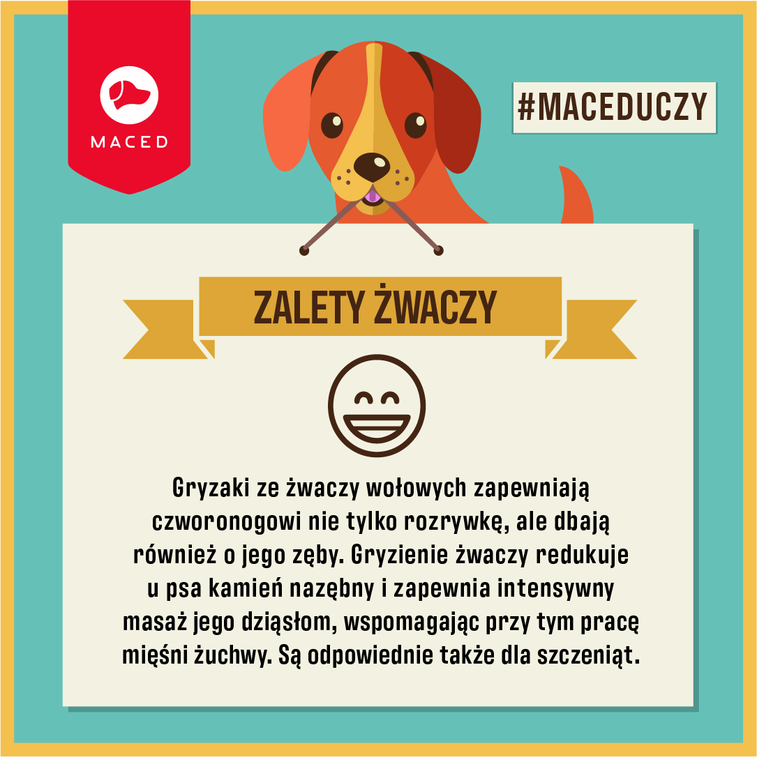 zalety żwaczy