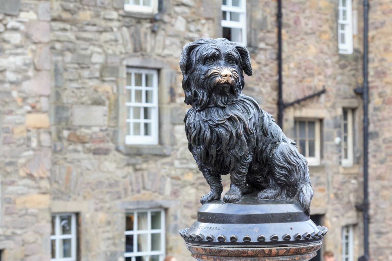 pomnik skye terriera o imieniu Greyfriars Bobby