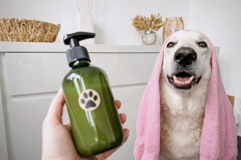 Domowy szampon dla psa